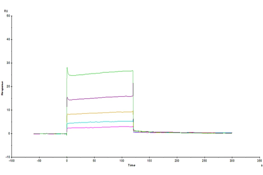 LILRB2-HP001 SPR result