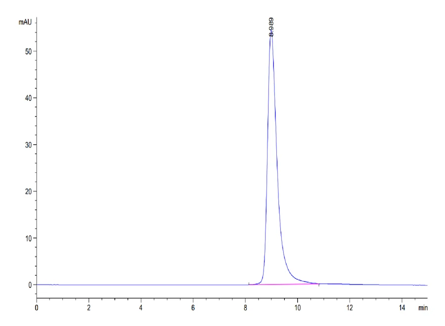 LILRB4-CP001 SEC-HPLC result