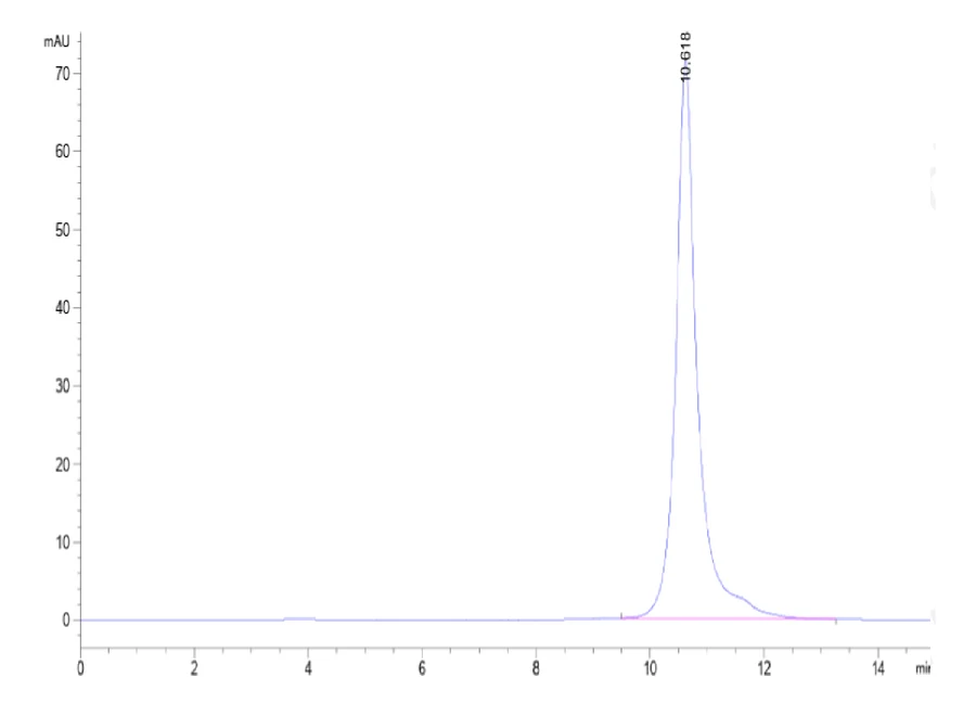 LILRB4-HP002 SEC-HPLC result