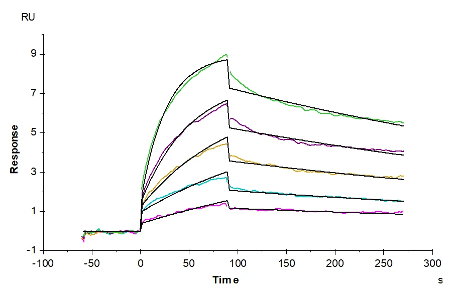 LILRB4-HP003 SPR result