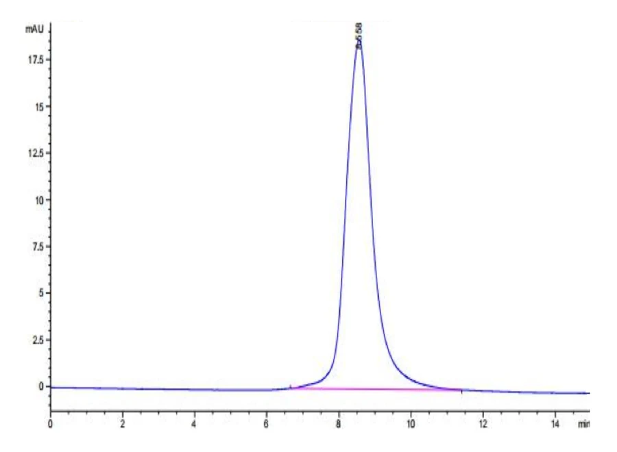 LILRB5-HB001 SEC-HPLC result