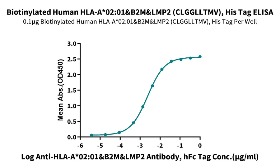 LMP2-HB002 ELISA result