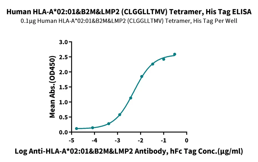 LMP2-HP002 ELISA result