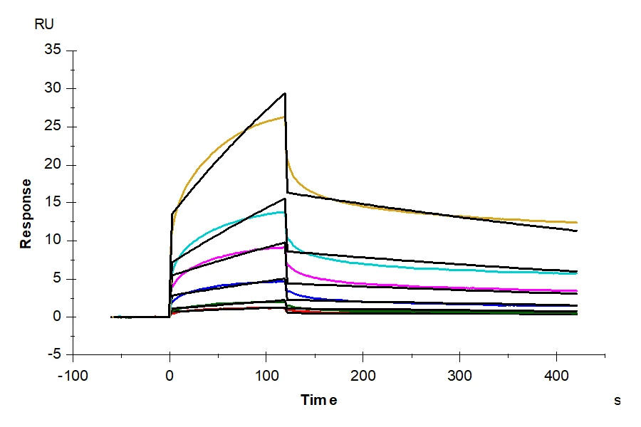 LPAR1-HB001 SPR result