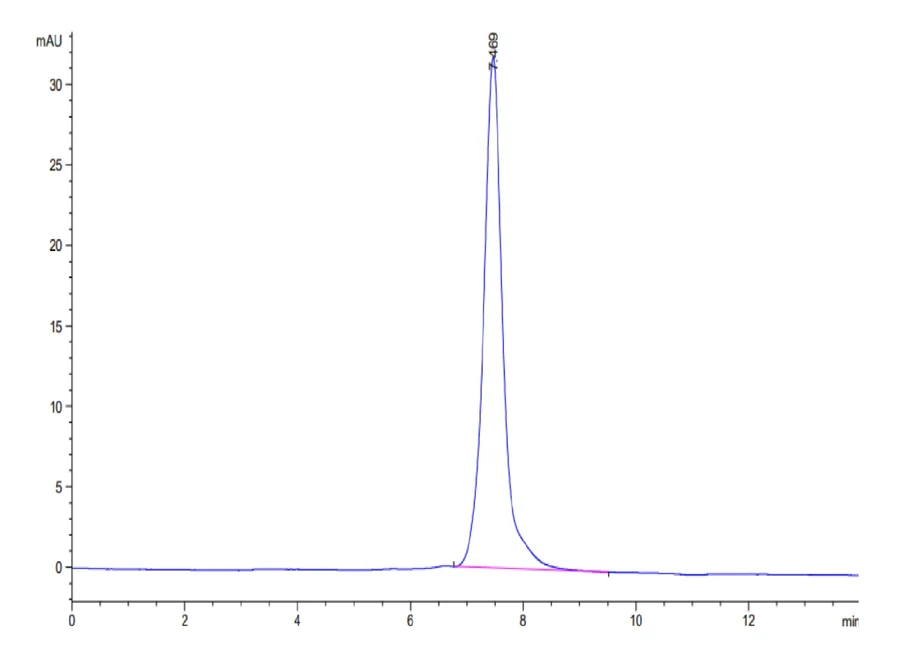 LTBR-MF001 SEC-HPLC result