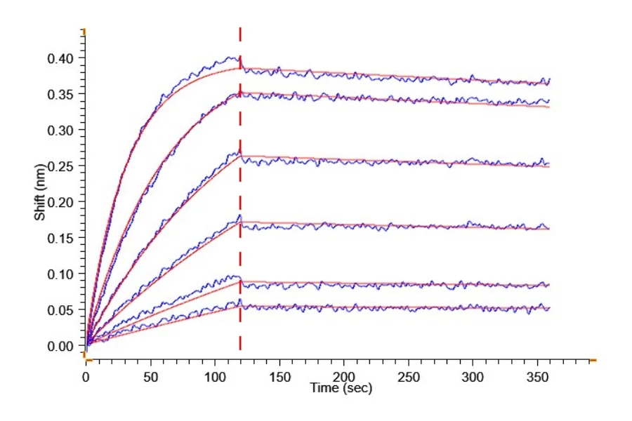 LY6G6D-CB001 BLI result