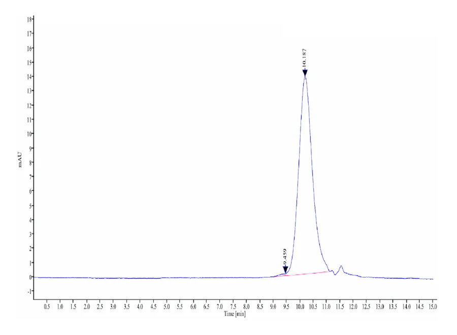LY6G6D-CB001 SEC-HPLC result