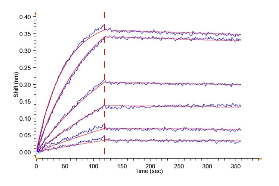 LY6G6D-HB001 BLI result