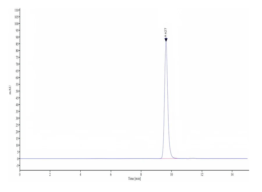 MAGEA1-HB002 SEC-HPLC result