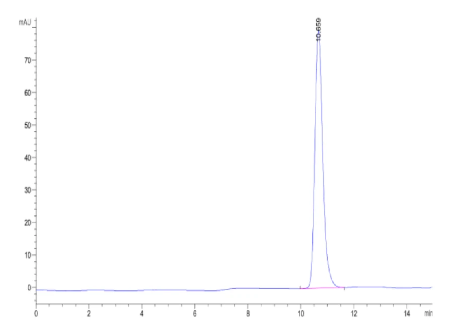 MAGEA1-HP001 SEC-HPLC result