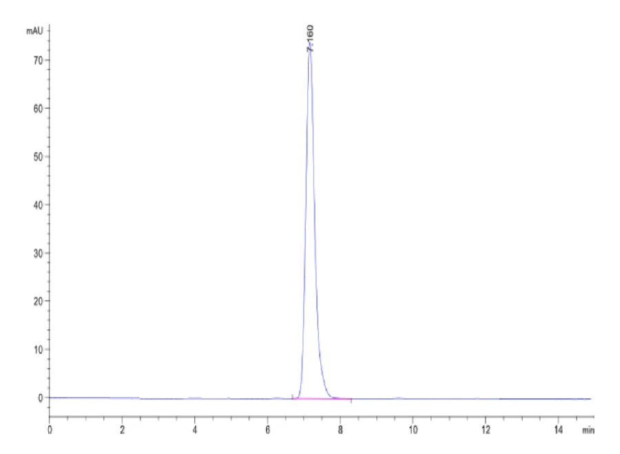 MAGEA1-HP003 SEC-HPLC result