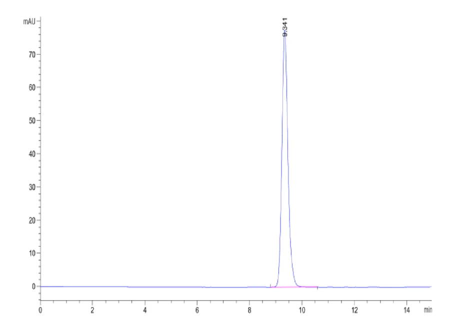 MAGEA10-HP001 SEC-HPLC result