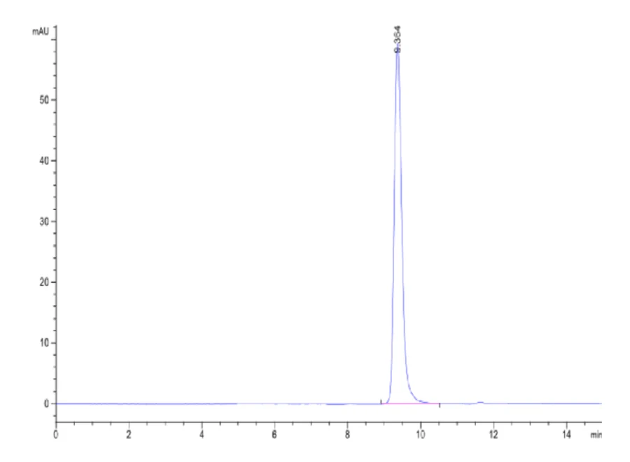 MAGEA2-HB001 SEC-HPLC result
