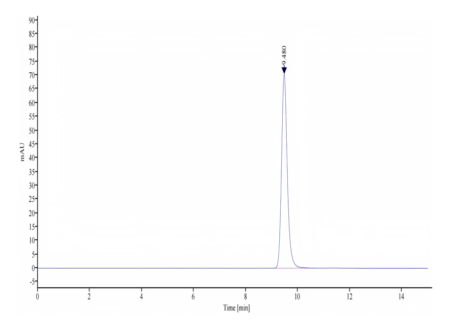 MAGEA3-HB001 SEC-HPLC result