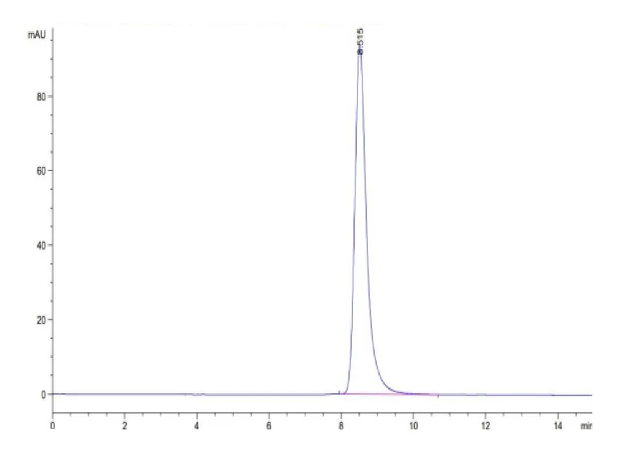 MAGEA3-HP001 SEC-HPLC result