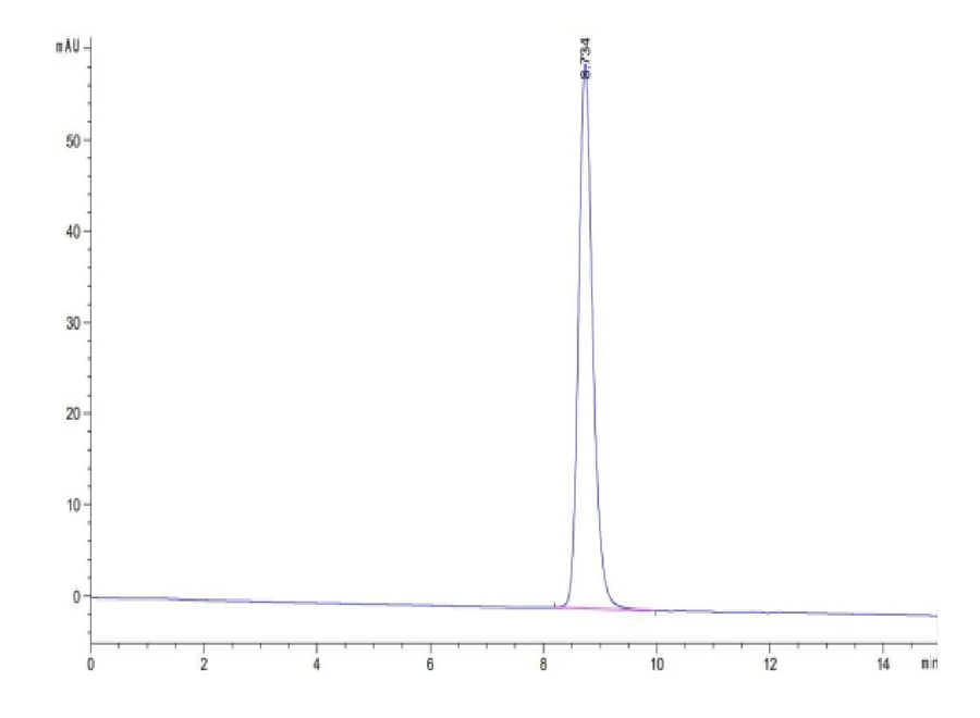 MAGEA3-HP003 SEC-HPLC result