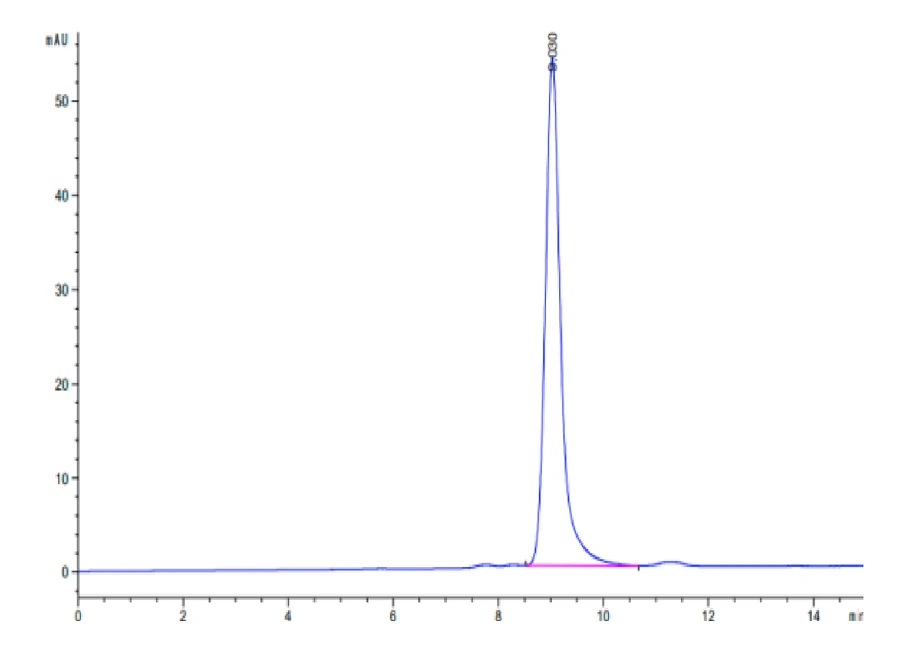 MAGEA4-HB004 SEC-HPLC result