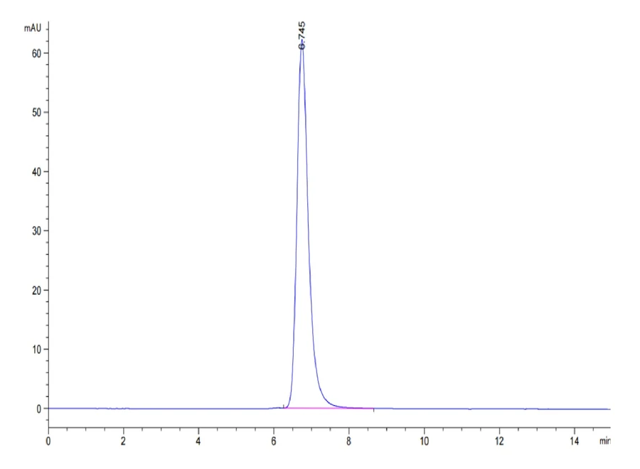 MAGEA4-HP004 SEC-HPLC result