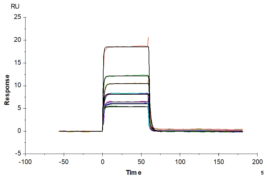 MAGEA4-HP008 SPR result