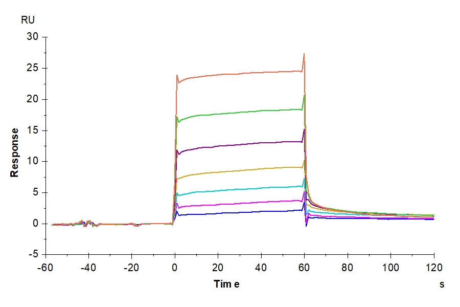 MCSF-CP001 SPR result