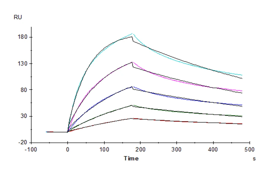 MCSF-HP001 SPR result