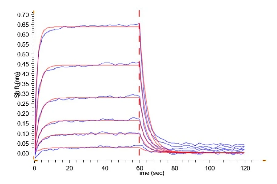 MCSF-HP002 BLI result