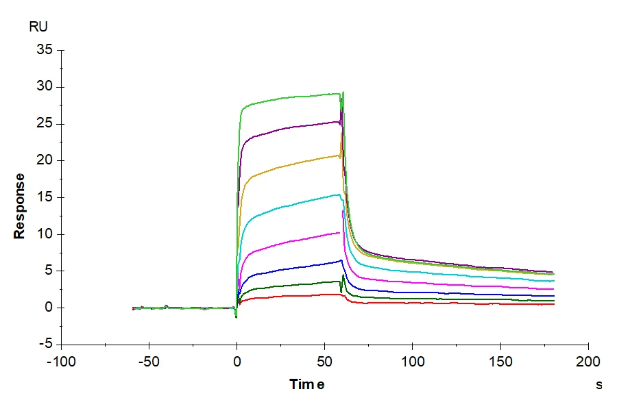 MICB-HB001 SPR result