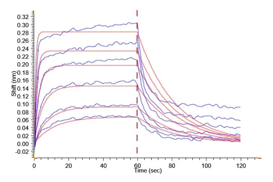 MSLN-HF002 BLI result