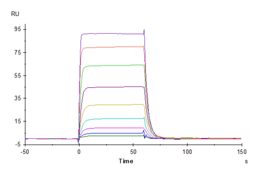 NCR3-HB001 SPR result