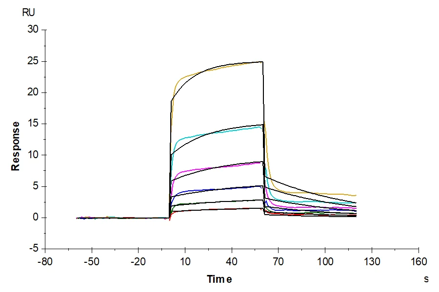NECTIN2-HB001 SPR-2 result