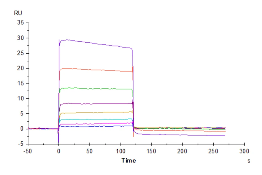NECTIN2-HB001 SPR result