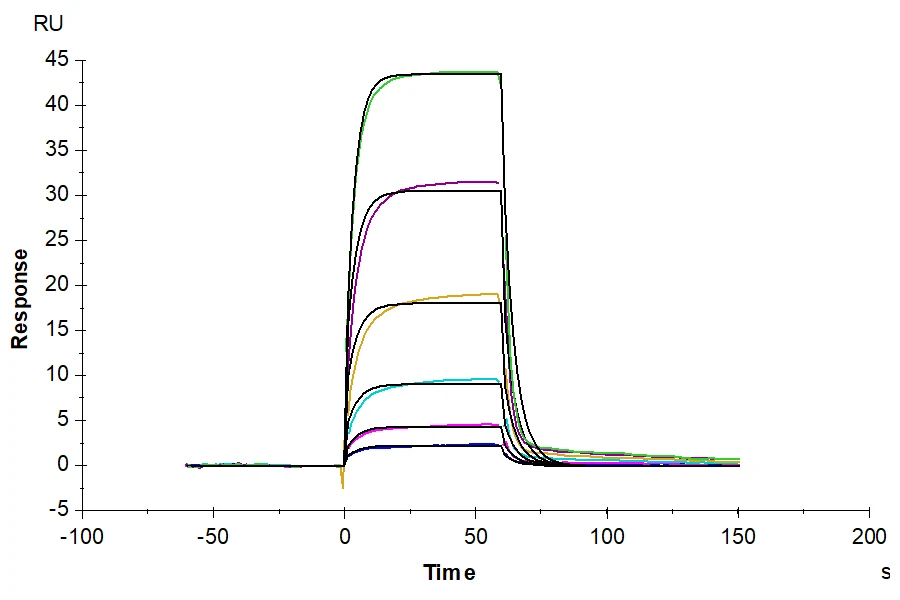 NECTIN2-HP002 SPR result
