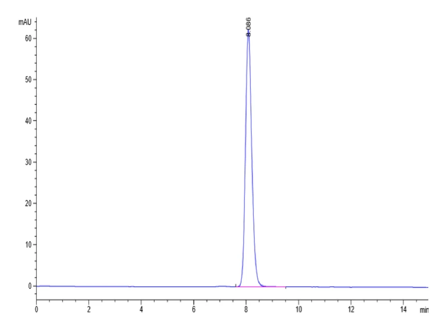 NECTIN4-CP001 SEC-HPLC result
