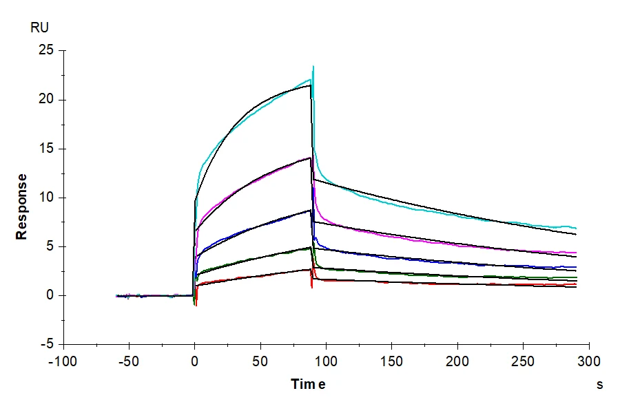 NECTIN4-HP003 SPR result