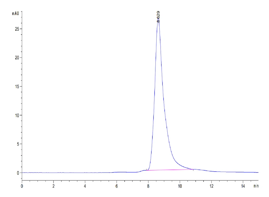 NECTIN4-HP004 SEC-HPLC result