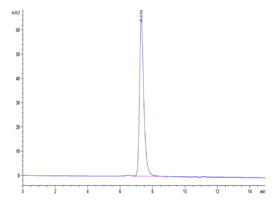 NECTIN4-MP002 SEC-HPLC result