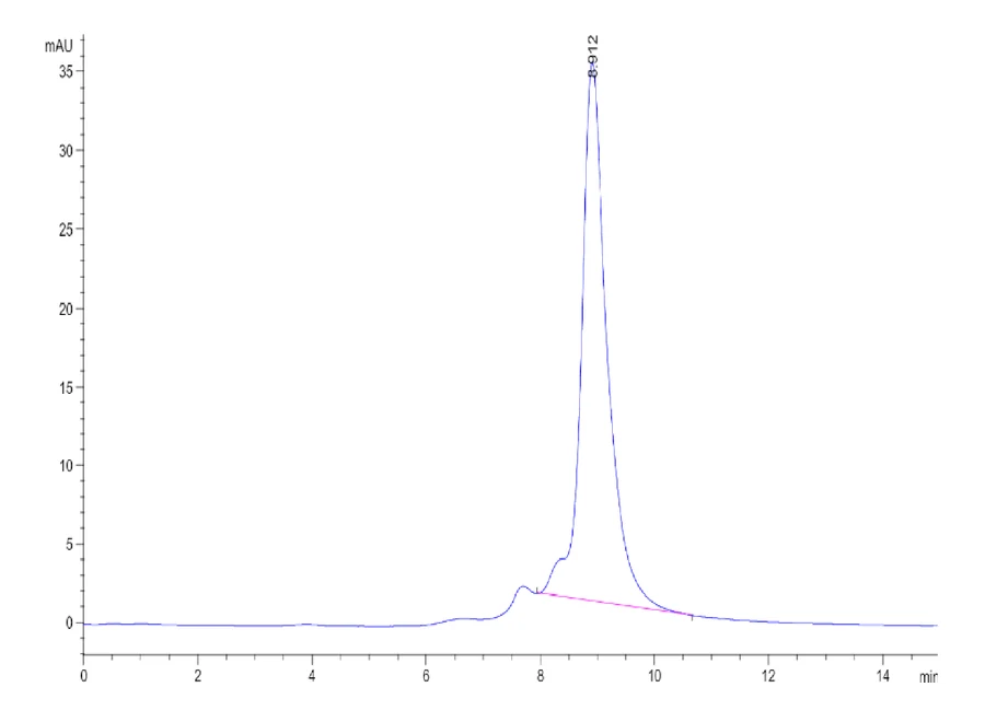 NKG2D-HP001 SEC-HPLC result