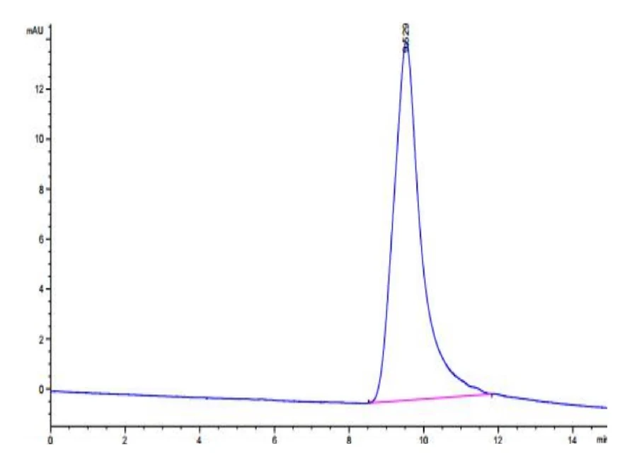 NOGGIN-HP001 SEC-HPLC result