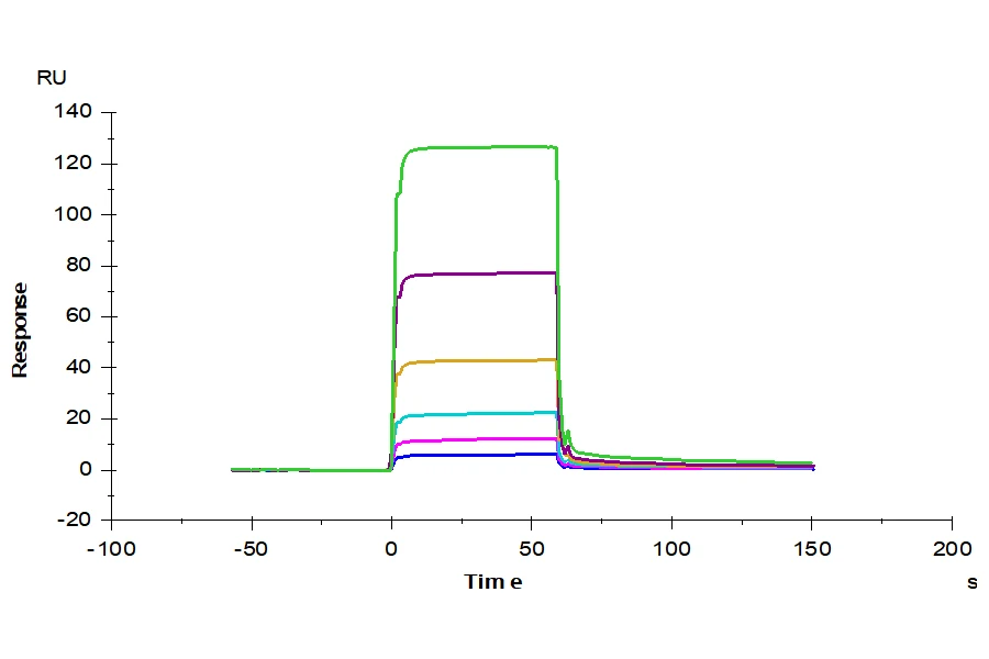 NOTCH1-HB001 SPR-2 result