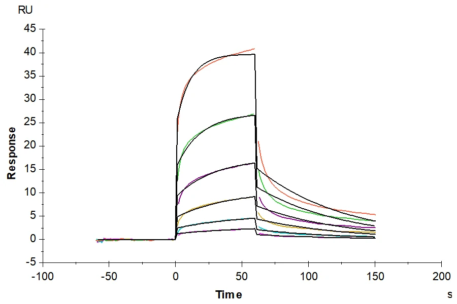 NOTCH1-HB001 SPR result
