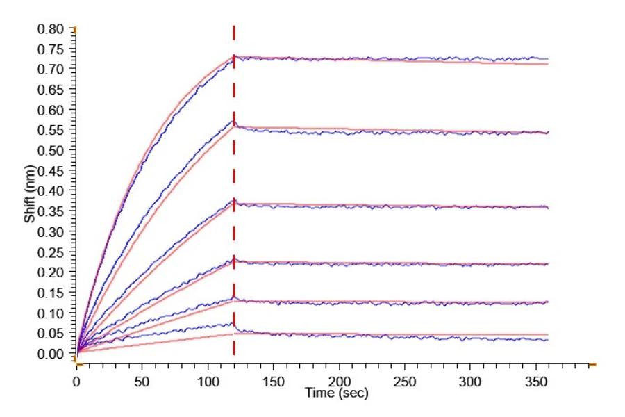 NPR1-HB001 BLI result