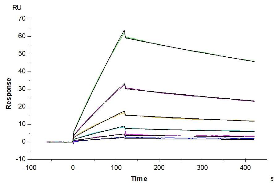 NPR1-HB001 SPR result