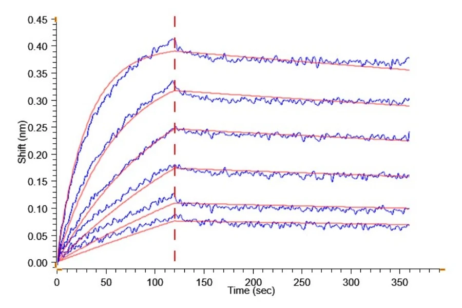 NPR1-HF002 BLI result