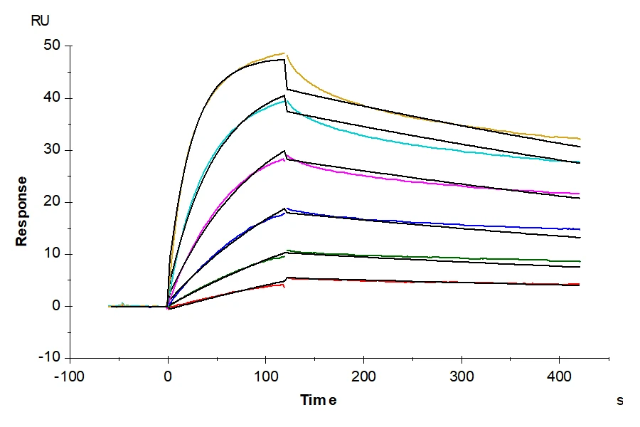 NYESO1-HB001 SPR result