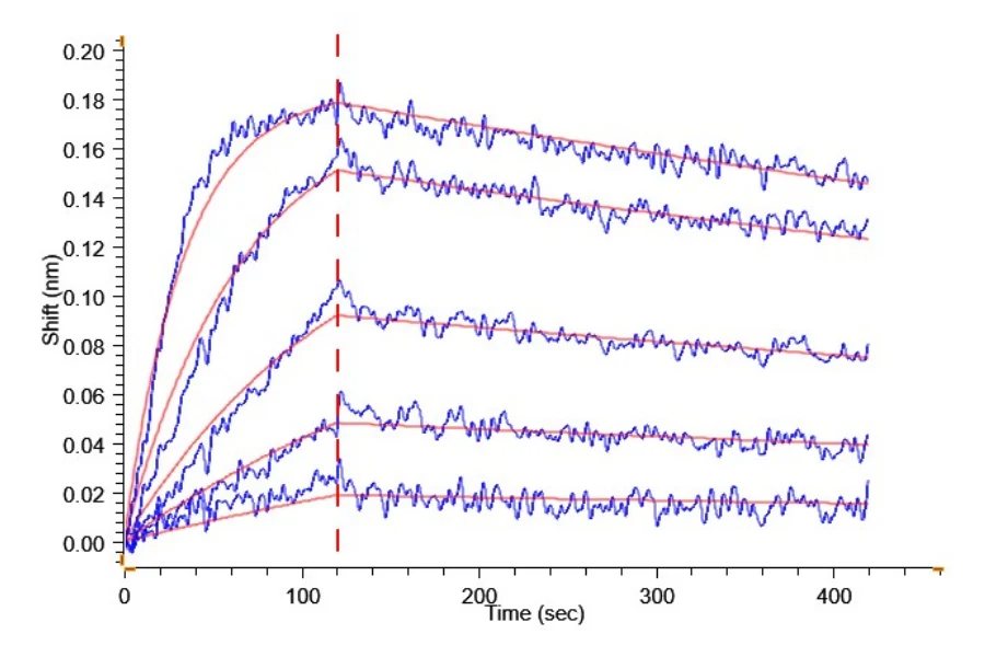 NYESO1-HB002 BLI-2 result