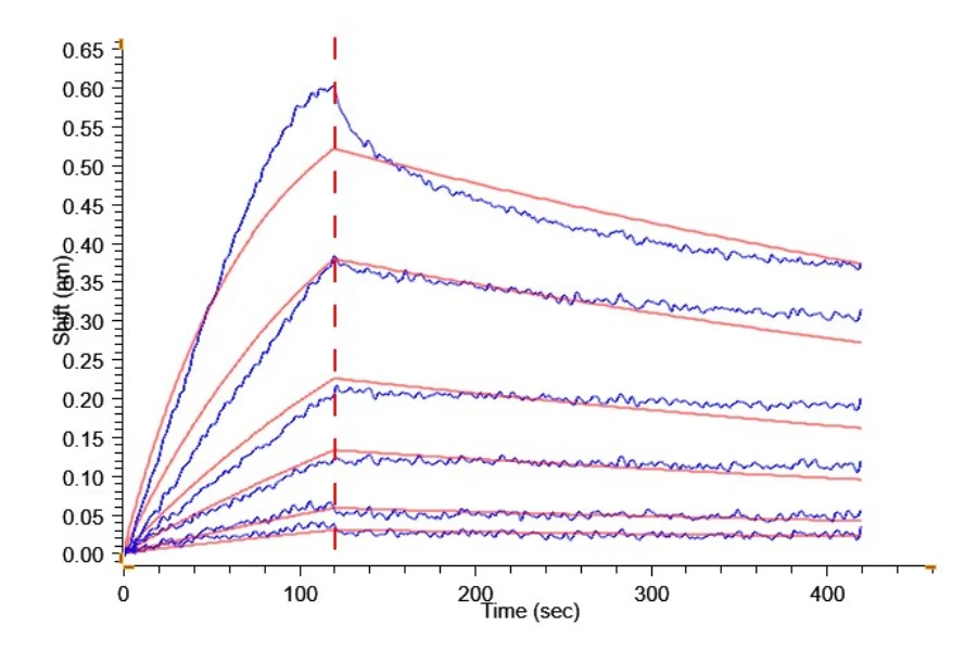 NYESO1-HB002 BLI result