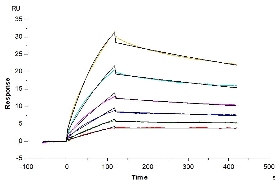 NYESO1-HB002 SPR-2 result