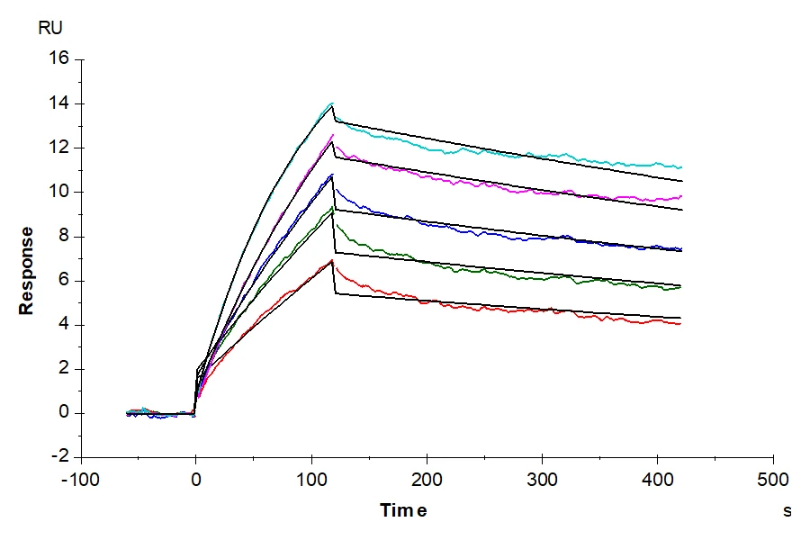 NYESO1-HB002 SPR-3 result