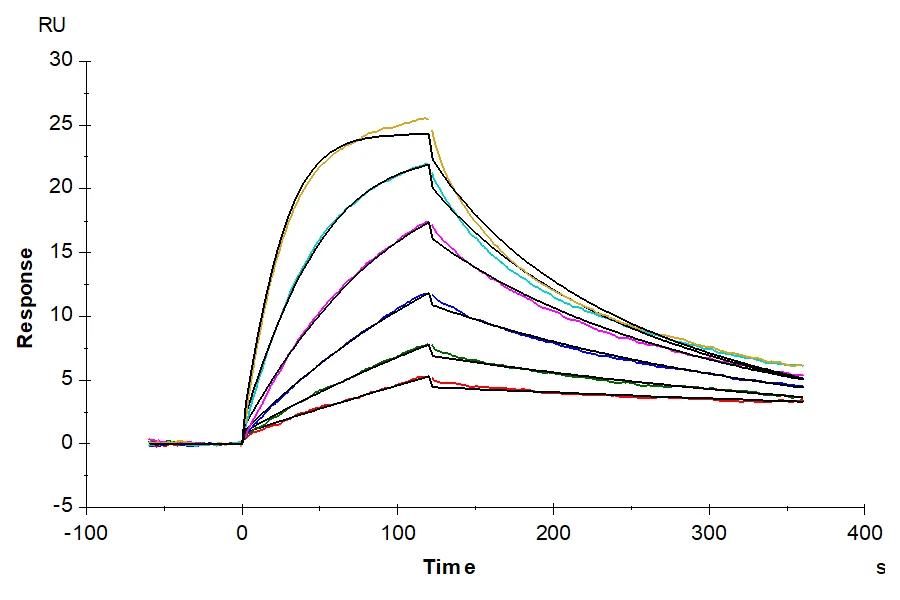 NYESO1-HB002 SPR result
