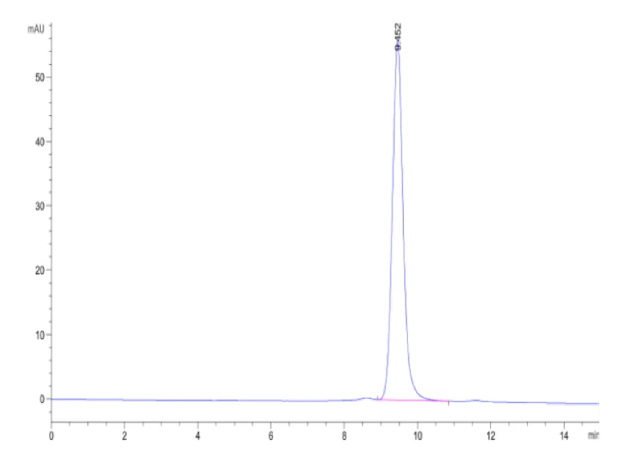 NYESO1-HB003 SEC-HPLC result